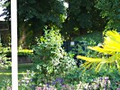 Sommerliche Blumen und Grün im  Biergarten des Gasthofs Brüning in Görzke